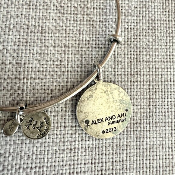 Alex and Ani Claddagh Silver Plated Copper Charm Bangle 2013 Energy Series - Picture 8 of 11